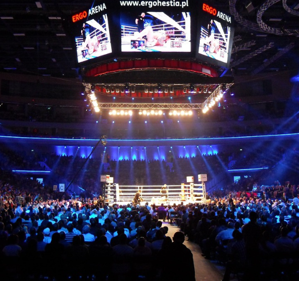 ldlc arena à lyon